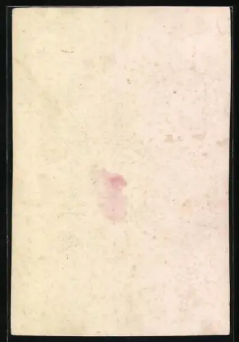 AK S. A. R. le Prince Baudouin-Léopold-Philippe-Antoine-Joseph-Louis, 1869-1891