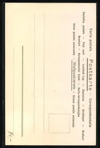 Lithographie Augsburg, Rathaus mit Brunnen, Crysanthemen, Passepartout