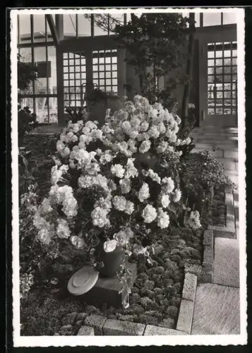 AK Zürich, Schweizerische Landesausstellung 1939, Pavillon 41, Blumenhalle