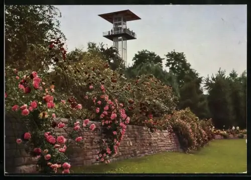 AK Stuttgart, Bundes-Gartenschau, Höhenweg zur Ländlichen Gaststätte