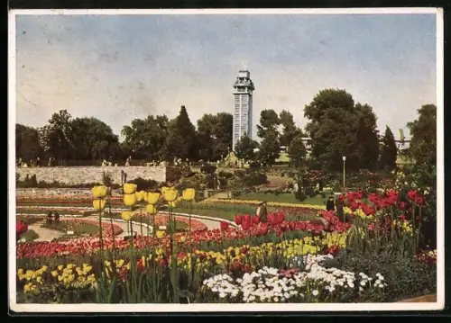 AK Essen, Gruga, Blumen-Arena