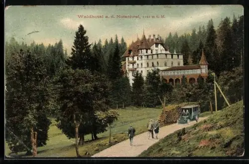 AK Notschrei, Waldhotel a. d. Notschrei mit Strasse