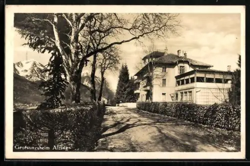 AK Alzing, Genesungsheim mit Strasse