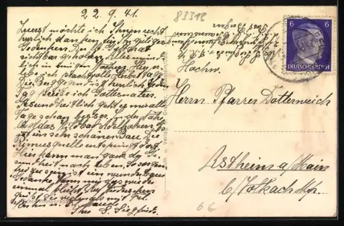 AK Alzing, Genesungsheim mit Strasse