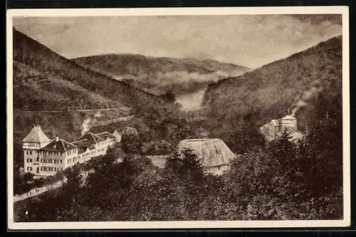 AK Ernsttal im badisch. Odenwald, Gasthaus Zum Prinzen Ernst E. Hemberger, Talansicht