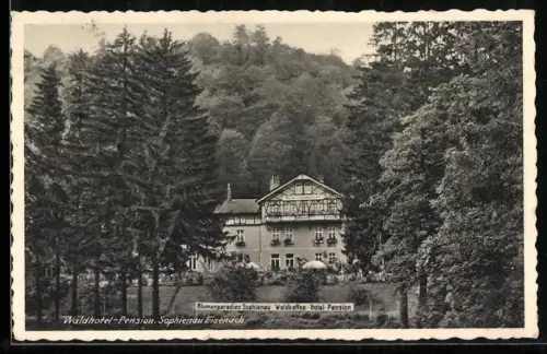AK Eisenach, Waldhotel-Pension Sophienau, mit Garten