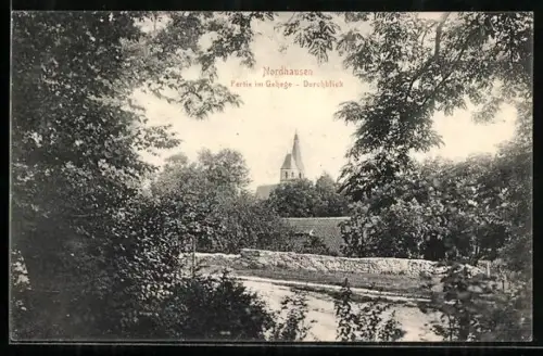 AK Nordhausen, Partie im Gehege, Durchblick