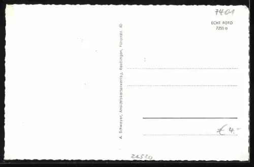 AK Immenhausen /Tübingen, Rathaus, Kirche, Geschäft Maier, Ortsansicht