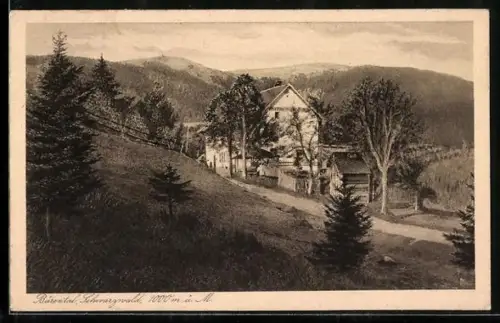 AK Bärental /Schwarzwald, Gasthaus zum Bären mit Blick auf den Feldberg