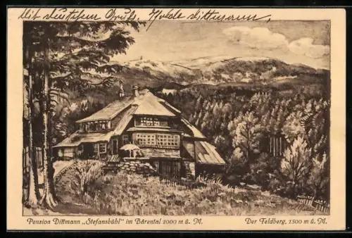 Künstler-AK Bärental /Schwarzwald, Pension Dittmann Stefansbühl, Feldberg