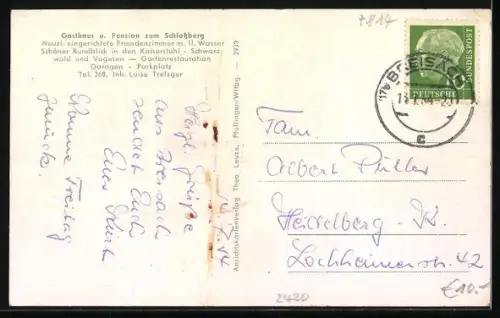 AK Breisach am Rhein, Gasthaus zum Schlossberg L. Trefzger, Gastraum, Garten, Ortsansicht