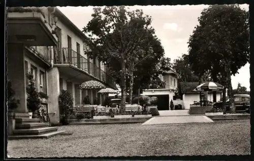 AK Denzlingen, Hotel und Pension Zum Grünen Baum, Inh. Otto Schemmer, Terrasse