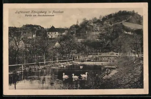 AK Königsberg in Franken, Partie am Bleichdammsee