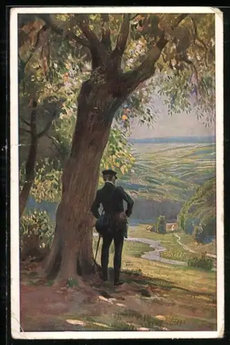 Künstler-AK Paul Hey: Wanderer geniesst den Ausblick, Verein für das Deutschtum im Ausland