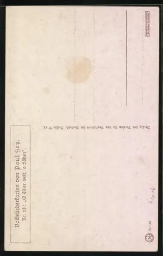 Künstler-AK Paul Hey: Wanderer geniesst den Ausblick, Verein für das Deutschtum im Ausland