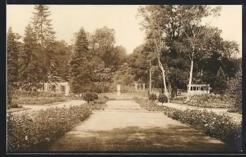 AK Mainz, Deutsche Rosenschau 1925 und Rheinische Festwoche - Anlagen mit Rosen