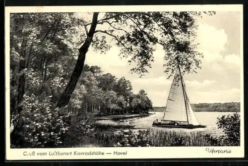 AK Berlin-Konradshöhe /Havel, Uferpartie