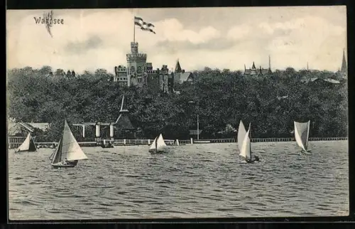 AK Berlin-Wannsee, Schloss, Segelboote auf dem See
