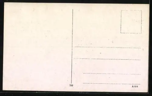 AK Berlin-Wannsee, Blick auf Schwanenwerder
