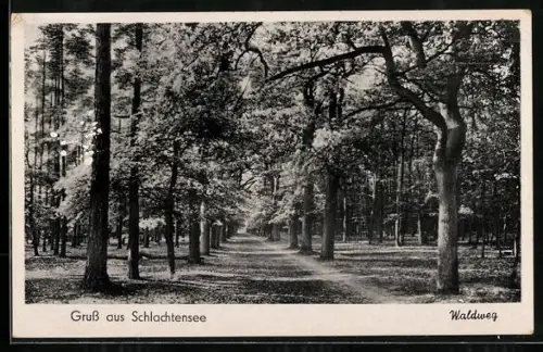 AK Berlin-Schlachtensee, Waldweg