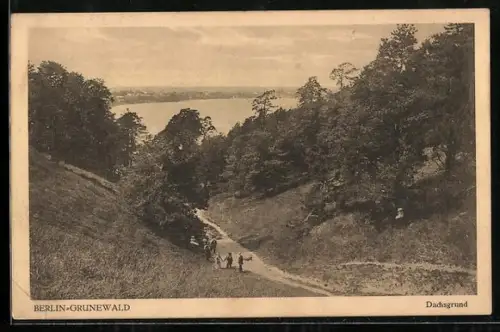 AK Berlin-Grunewald, Dachsgrund