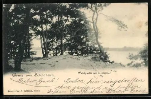 AK Berlin-Grunewald, Schildhorn, Waldpartie am Denkmal