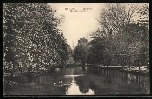 AK Berlin, Tiergarten, Goldfischteich