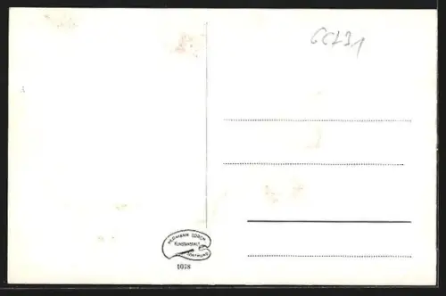 AK Holzminden a. d. Weser, Halbermondstrasse mit Geschäften