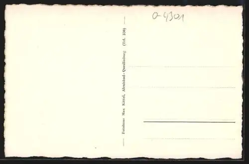 AK Alexisbad i. Harz, Offiziersheim mit Strassenpartie