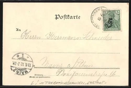 Lithographie Trechtingshausen, Ortsansicht m. Eisenbahn und Dampfschiffe