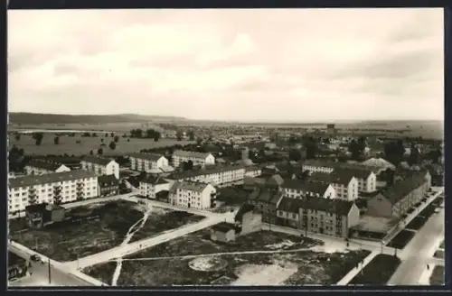 AK Malchin /Meckl., Wohnsiedlungen und Stadtansicht
