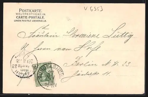 AK Gundelsheim a. Neckar, Schloss, Stadtansicht