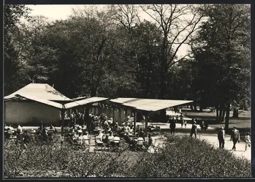 AK Berlin-Pankow, Bürgerpark, Freiluftgaststätte