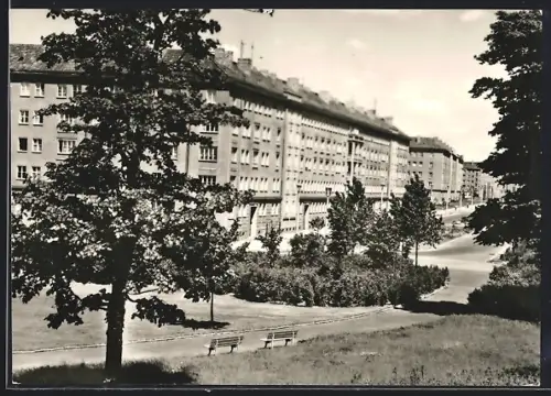 AK Berlin-Prenzlauer Berg, Kniprodestrasse