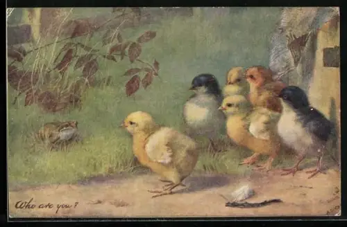 AK Küken und Frosch, Begegnung