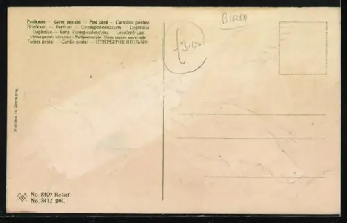 Präge-AK Zwei Truthähne im Grünen
