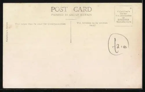 AK Zwei Hunde blicken in die Landschaft, Terrier