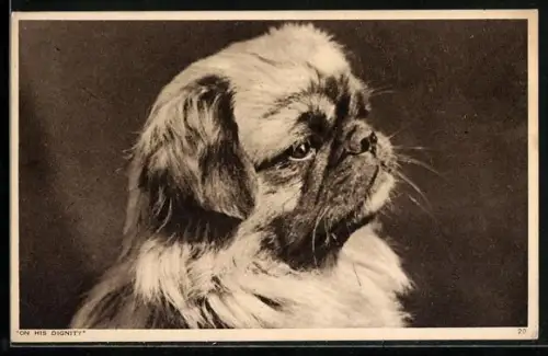 AK On his Dignity, Pekinese mit würdevollem Blick