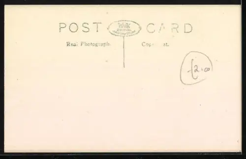 AK Collie, Pekinesen, Welpen, Jagdhunde