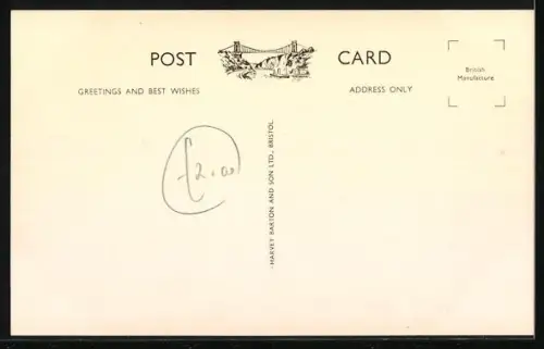 AK Bristol, Zoo, The Tigers