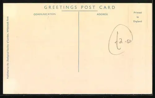 AK Dunstable, Whipsnade Park, Eland