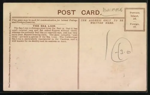AK London, Zoo, Sea Lions