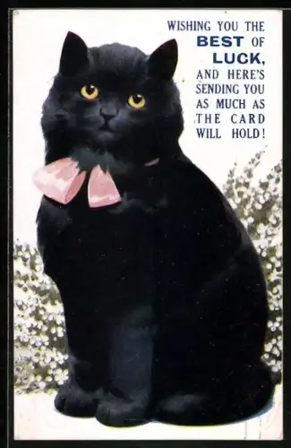 AK Schwarze Katze mit osa Schleife