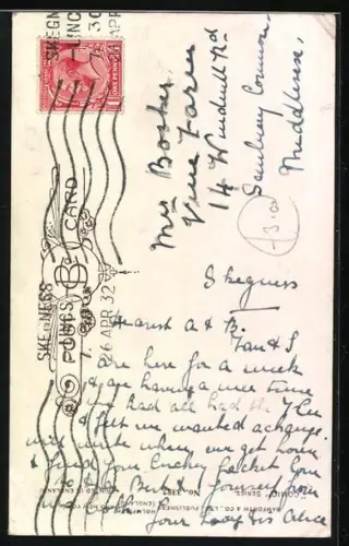 AK Schwarze Katze mit osa Schleife