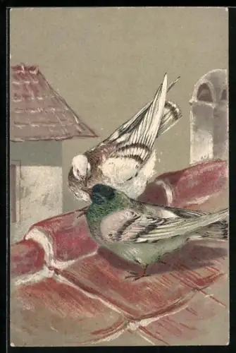 AK Turtelnde Tauben auf einem Dach