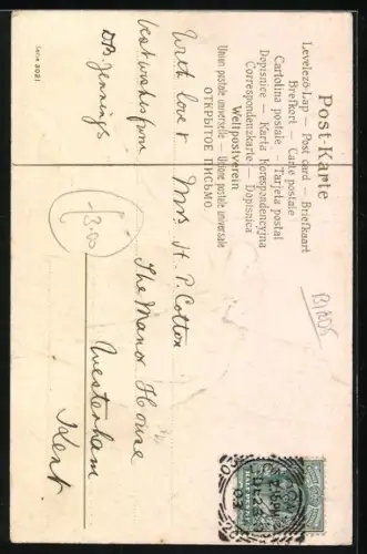 AK Turtelnde Tauben auf einem Dach