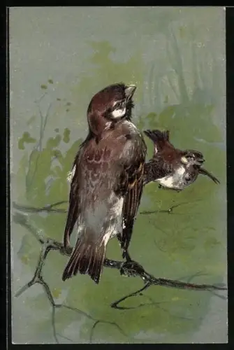 AK Zwei Spatzen im Grünen