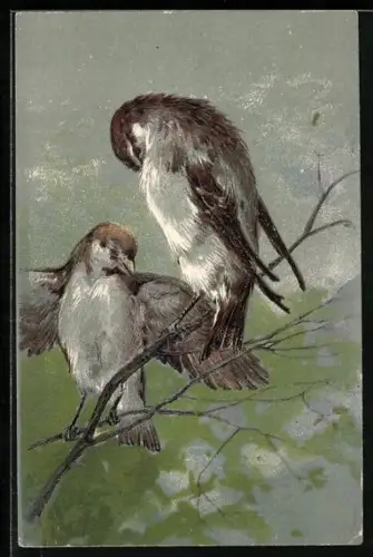 AK Vögel sitzen auf einem Ast