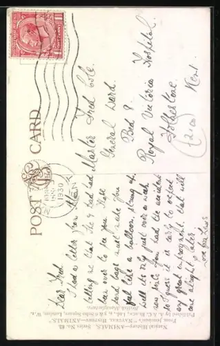 Künstler-AK Bactrien Camel, Kamel