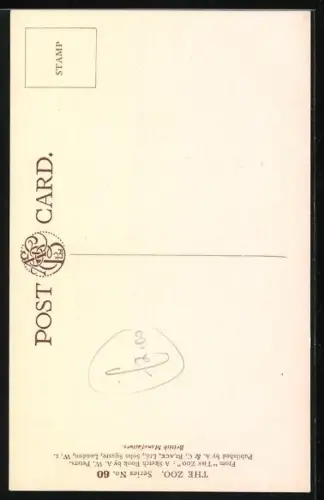 Künstler-AK Löwe und Löwin